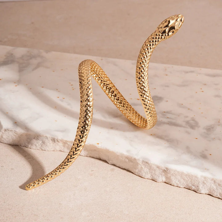 Zevella - Sculpted Snake Wrap Bracelet and Ring Set