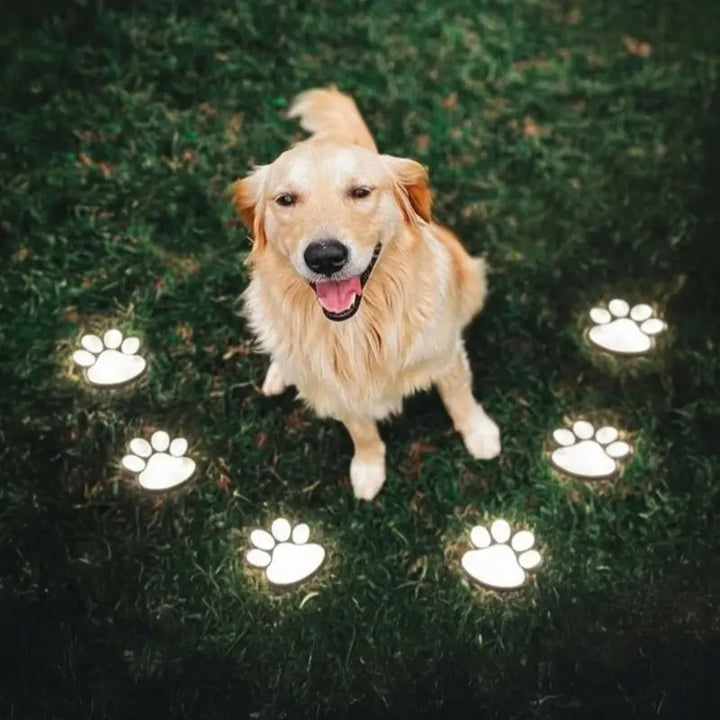 PawGlow - Outdoor LED Solar Garden Paw Lights
