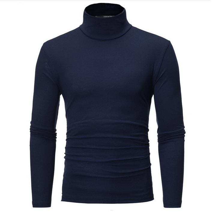 Laurita - Fitted Faux Turtleneck Top